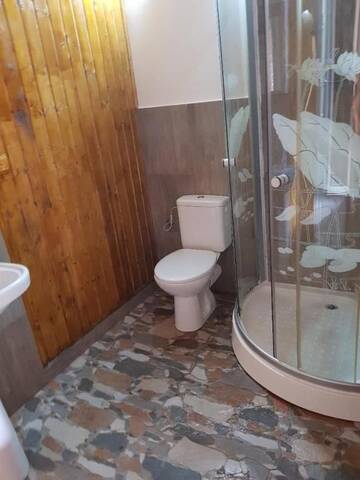 Фото номера Двухместный номер с 1 кроватью Гостевой дом Casa Piri г. Анина 7
