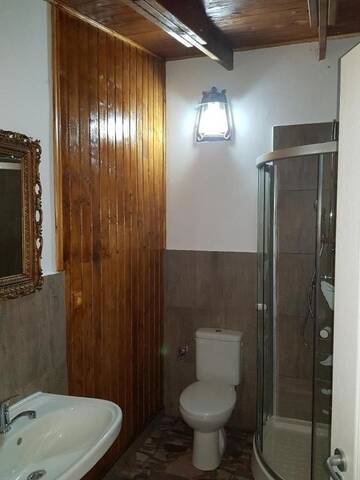 Фото номера Двухместный номер с 1 кроватью Гостевой дом Casa Piri г. Анина 9